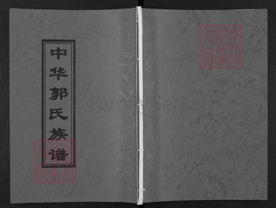 山东省枣庄市薛城区郭氏族谱-中华郭氏族谱.pdf电子版插图 山东省枣庄市薛城区郭氏族谱-中华郭氏族谱.pdf电子版插图