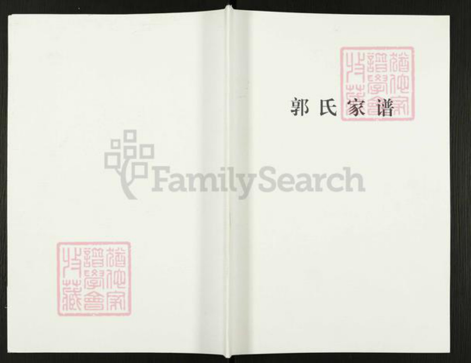 河南省焦作市沁阳市王曲乡郭氏族谱-郭氏家谱.pdf电子版插图 河南省焦作市沁阳市王曲乡郭氏族谱-郭氏家谱.pdf电子版插图