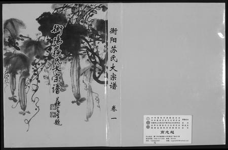 福建苏氏族谱-衡阳苏氏大宗谱.pdf电子版插图