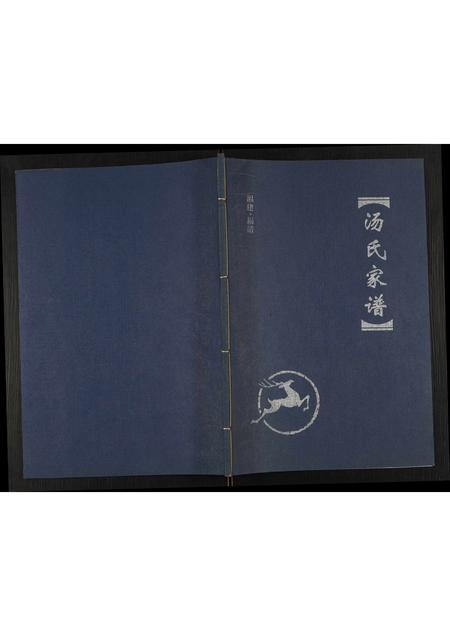 福建汤氏族谱-前林祚汤氏家谱.pdf电子版插图