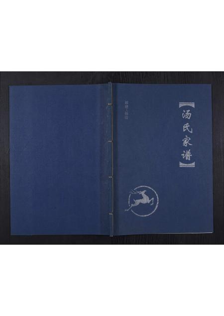 福建汤氏族谱-汤氏家谱.pdf电子版插图