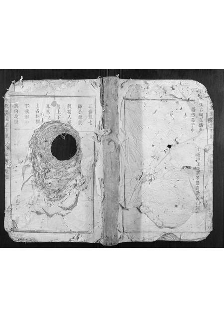 福建王氏族谱-大王坊王氏族谱.pdf电子版插图 福建王氏族谱-大王坊王氏族谱.pdf电子版插图