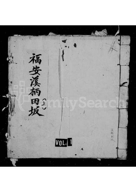 福建王氏族谱-湖塘坂溪王氏族谱.pdf电子版插图