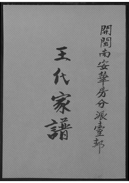 福建王氏族谱-王代家谱.pdf电子版插图