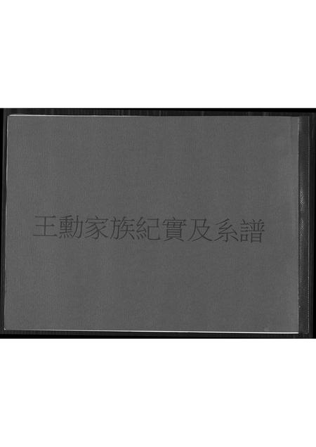 福建王氏族谱-王勋家族纪实及系谱.pdf电子版插图