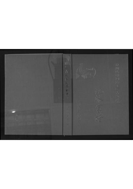 福建丁氏族谱-[丁氏](王己)派家谱.pdf电子版