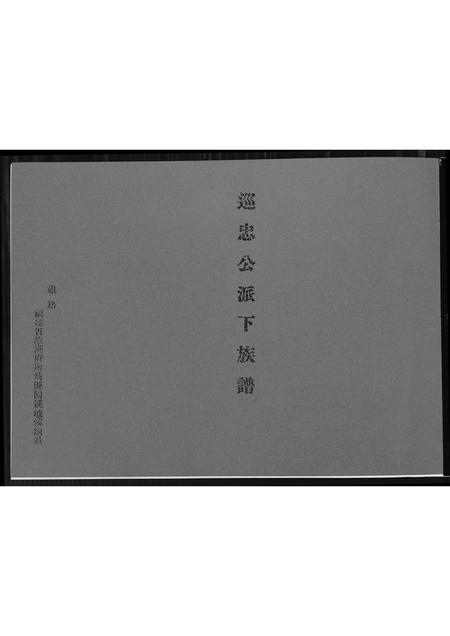 福建王氏族谱-[王氏]巡忠公派下族谱.pdf电子版插图