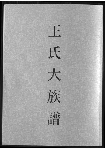 福建王氏族谱-王氏大族谱.pdf电子版插图