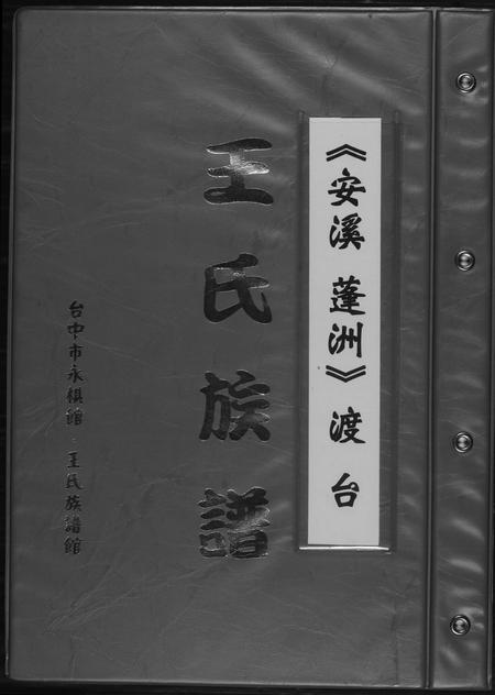 福建王氏族谱-王氏宗谱.安溪蓬州渡台.pdf电子版插图