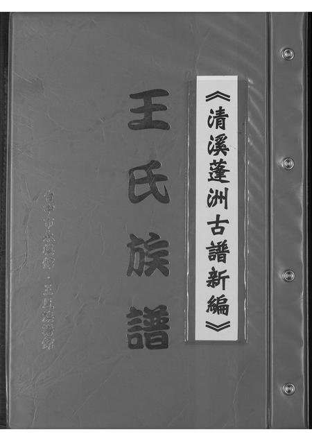 福建王氏族谱-王氏宗谱.清溪蓬洲古谱新编.pdf电子版插图