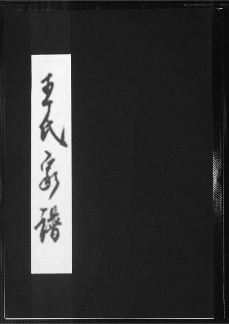 福建王氏族谱-王氏家谱.pdf电子版插图