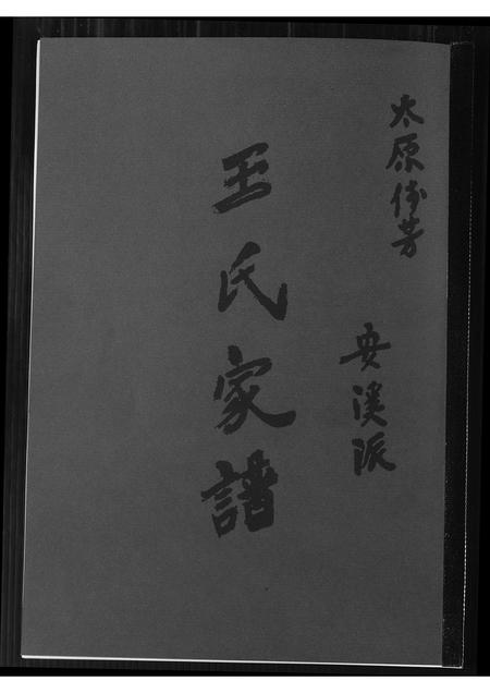 福建王氏族谱-王氏家谱.安溪派.pdf电子版插图
