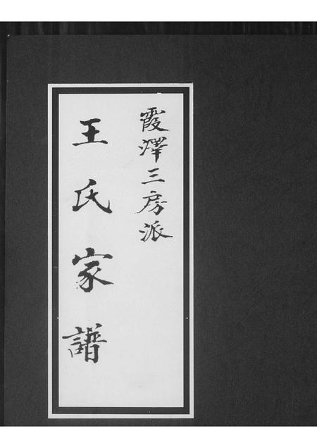 福建王氏族谱-王氏家谱霞泽三房派.pdf电子版插图