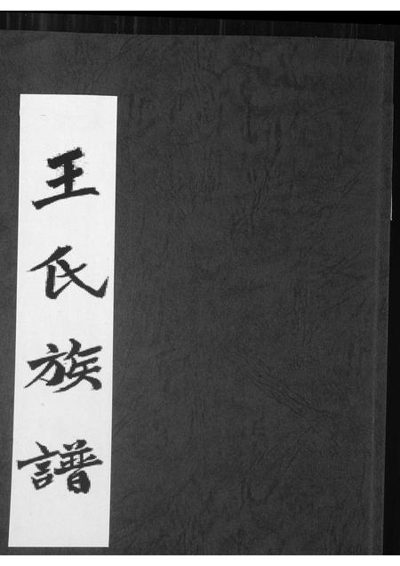 福建王氏族谱-王氏族谱.pdf电子版插图
