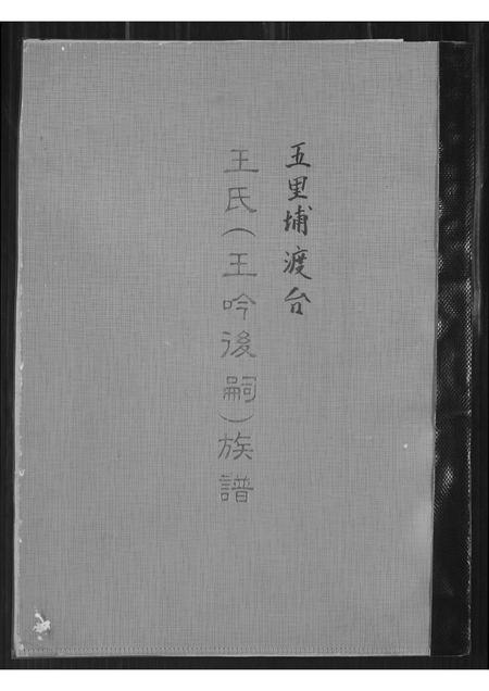 福建王氏族谱-王氏族谱. 王吟后嗣.pdf电子版插图