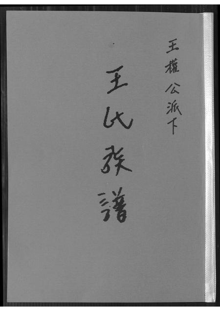 福建王氏族谱-王氏族谱. 王权公派下.pdf电子版插图