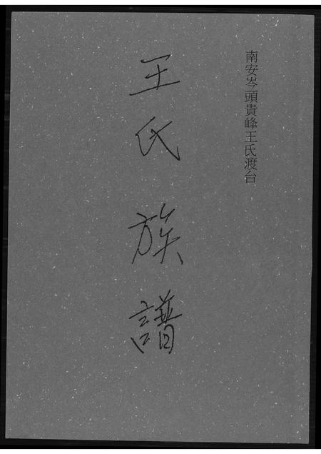 福建王氏族谱-王氏族谱南安.pdf电子版插图