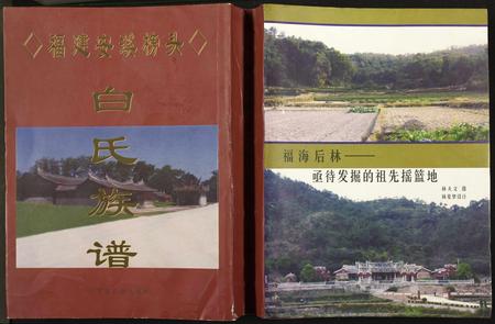 福建白氏-福建安溪榜头白氏族谱.pdf电子版插图