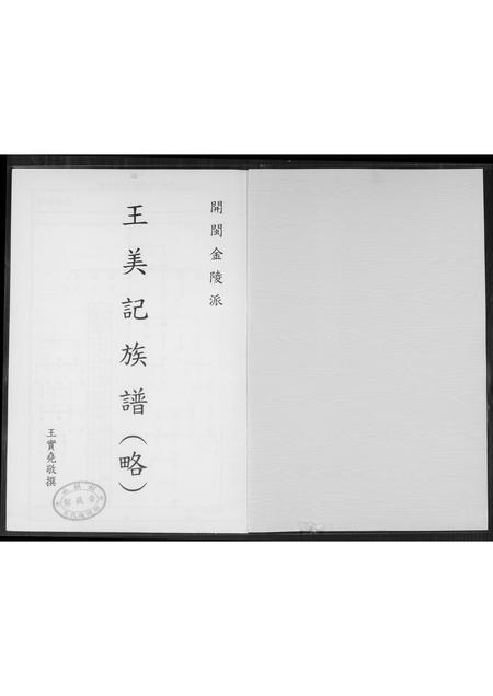 福建王氏族谱-王美记族谱.开闽金陵派渡台始祖尊炳公世系履历.pdf电子版插图1