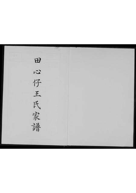 福建王氏族谱-田心仔王氏家谱.pdf电子版插图1