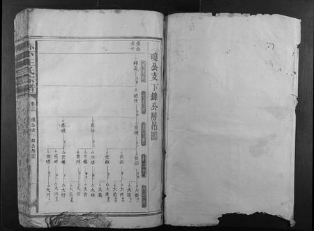 福建王氏族谱-赤下王氏宗谱.pdf电子版插图1