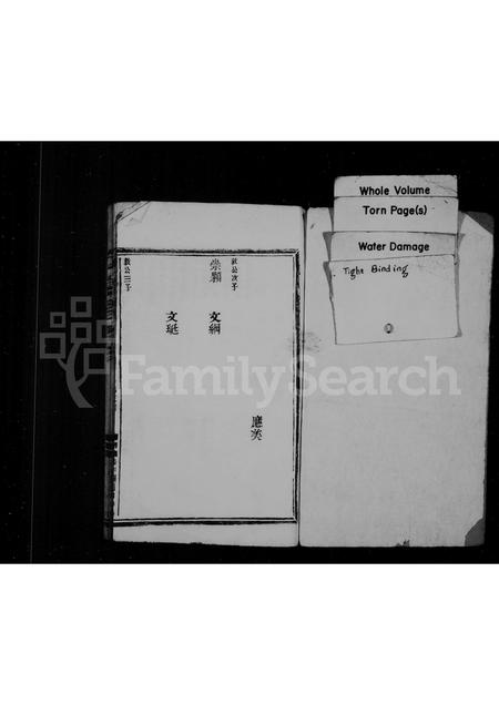 福建王氏族谱-太原郡王氏宗谱.pdf电子版插图1 福建王氏族谱-太原郡王氏宗谱.pdf电子版插图1