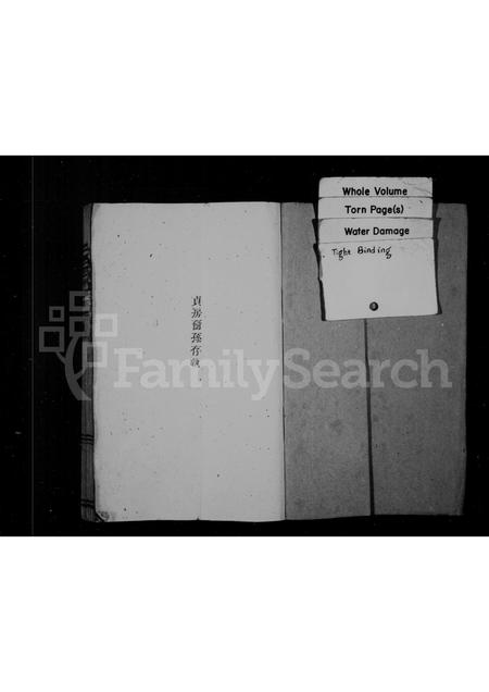 福建王氏族谱-太原郡王氏宗谱.pdf电子版插图1