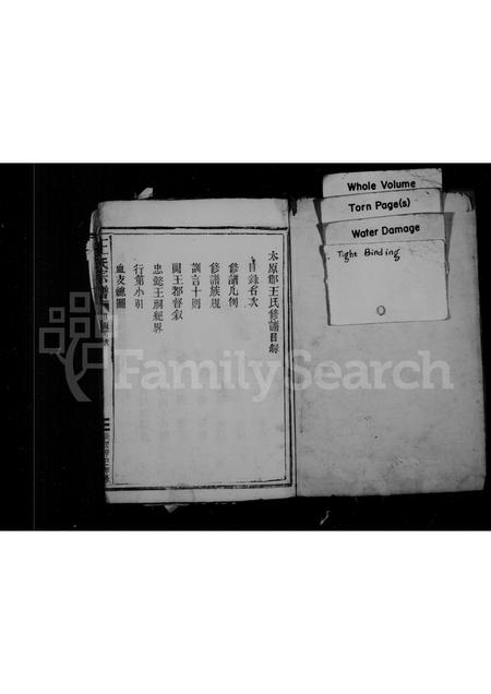 福建王氏族谱-王氏宗谱.pdf电子版插图1 福建王氏族谱-王氏宗谱.pdf电子版插图1