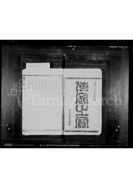 福建王氏族谱-王氏宗谱.pdf电子版插图1