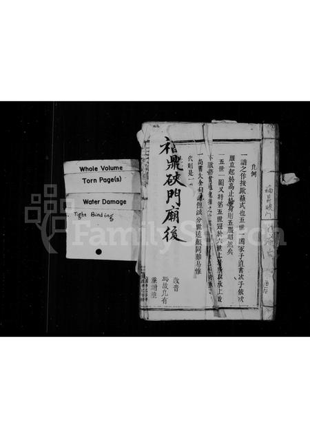 福建王氏族谱-王氏宗谱.pdf电子版插图1 福建王氏族谱-王氏宗谱.pdf电子版插图1