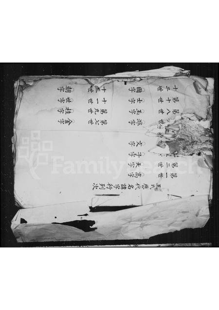 福建王氏族谱-[王氏族谱].pdf电子版插图1