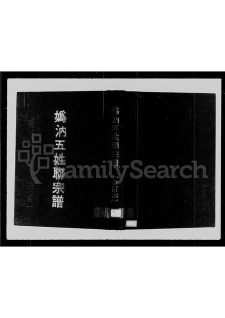 福建姚氏虞氏陈氏田氏胡氏族谱-妫汭五姓联宗谱.pdf电子版插图1 福建姚氏虞氏陈氏田氏胡氏族谱-妫汭五姓联宗谱.pdf电子版插图1