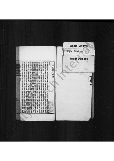 福建叶氏族谱-三山叶氏族谱.pdf电子版插图1 福建叶氏族谱-三山叶氏族谱.pdf电子版插图1