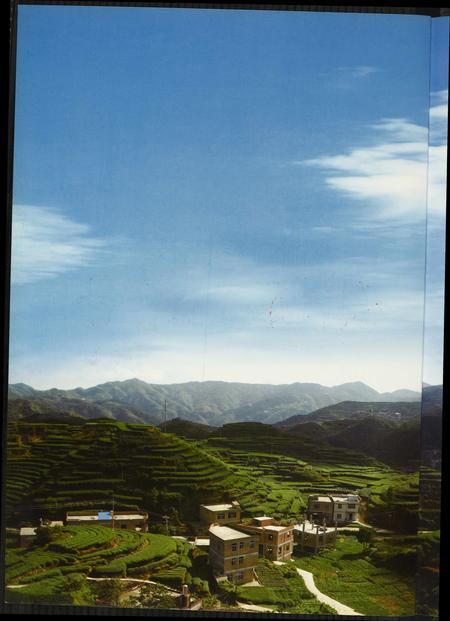 福建张氏族谱-儒林张氏族谱两岸联纂.圆谱庆典纪念册.pdf电子版插图1