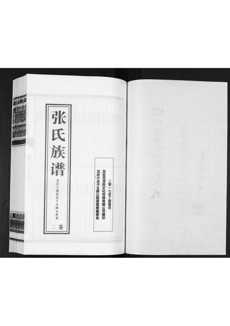 福建张氏族谱-大池张氏族谱[2卷].pdf电子版插图1