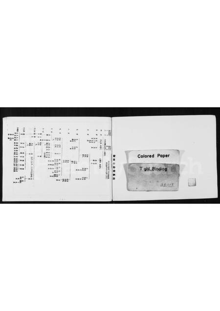 福建张氏族谱-[张氏]青屿天启(益安)安家谱.pdf电子版插图1