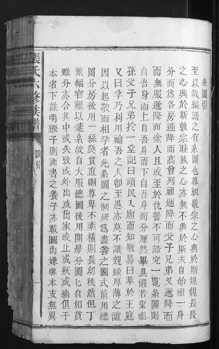 福建张氏族谱-张氏六修族谱.pdf电子版插图1 福建张氏族谱-张氏六修族谱.pdf电子版插图1