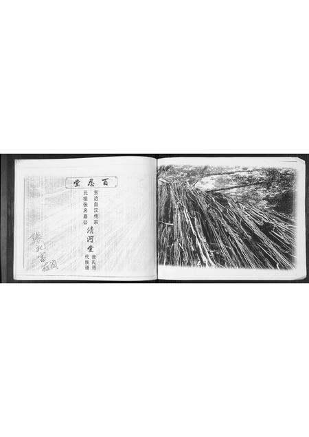 福建张氏族谱-张氏族谱.pdf电子版插图1 福建张氏族谱-张氏族谱.pdf电子版插图1