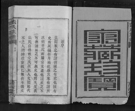 福建张氏族谱-张氏族谱[不分卷].pdf电子版插图1