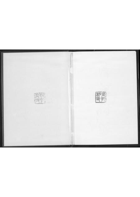 福建张氏族谱-东埔张氏族谱.海沧区东浮镇.pdf电子版插图1