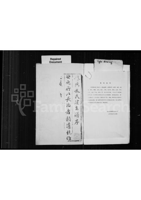 福建朱氏族谱-紫阳朱氏建安谱.pdf电子版插图1