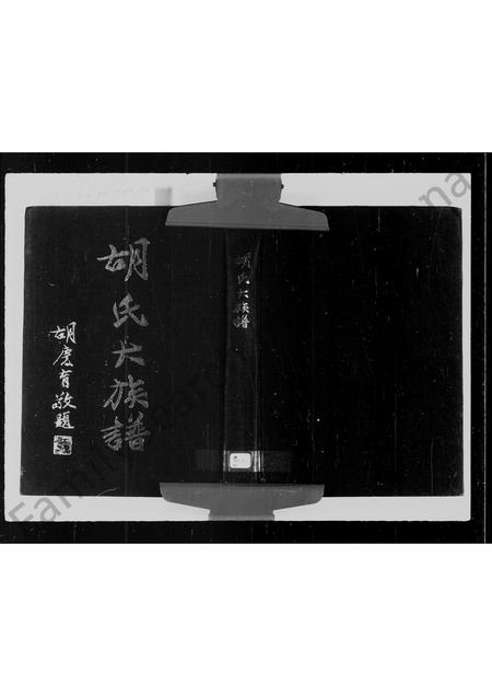 福建胡氏族谱-胡氏大族谱.pdf电子版插图1