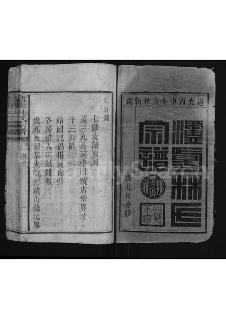 福建林氏族谱-泸阳林氏宗谱 [不分卷].pdf电子版插图1