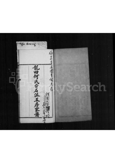 福建何氏族谱-龙田何氏台石派五房家谱.pdf电子版插图1 福建何氏族谱-龙田何氏台石派五房家谱.pdf电子版插图1