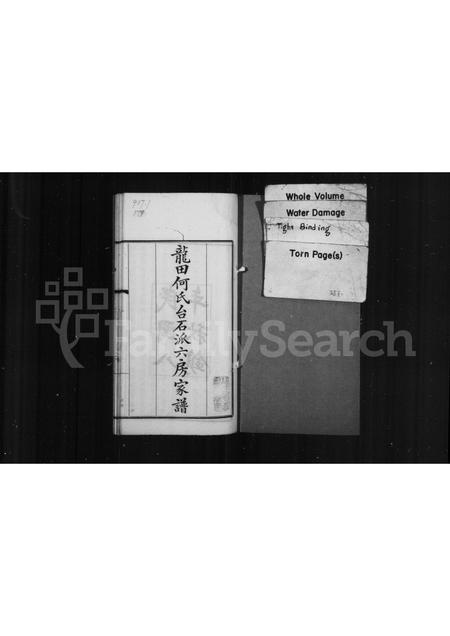 福建何氏族谱-龙田何氏台石派六房家谱.pdf电子版插图1 福建何氏族谱-龙田何氏台石派六房家谱.pdf电子版插图1