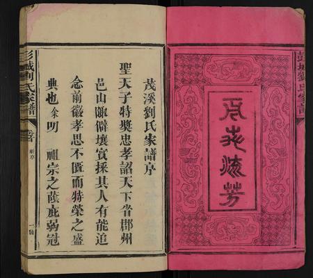 福建刘氏族谱-彭城刘氏家谱 [4卷,含卷首].pdf电子版插图1