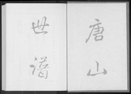 福建王氏族谱-巖岭迁淡王姓族谱.pdf电子版插图1