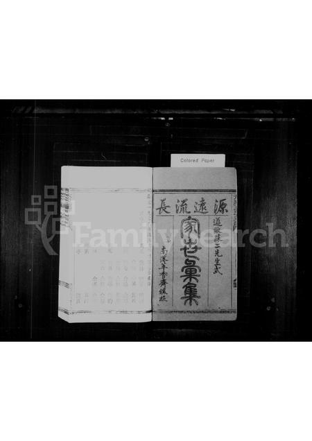福建王氏族谱-王氏宗谱.pdf电子版插图1