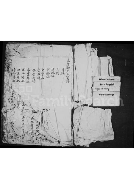 福建王氏族谱-太原郡王氏宗谱.pdf电子版插图1