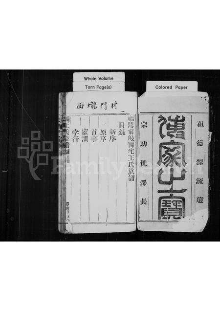 福建王氏族谱-褔鼎前岐西宅王氏族谱.pdf电子版插图1